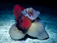 Natural Drusy Quartz Coated Spearhead Calcite Specimens x 35 From Albert's Mountain, Lesotho