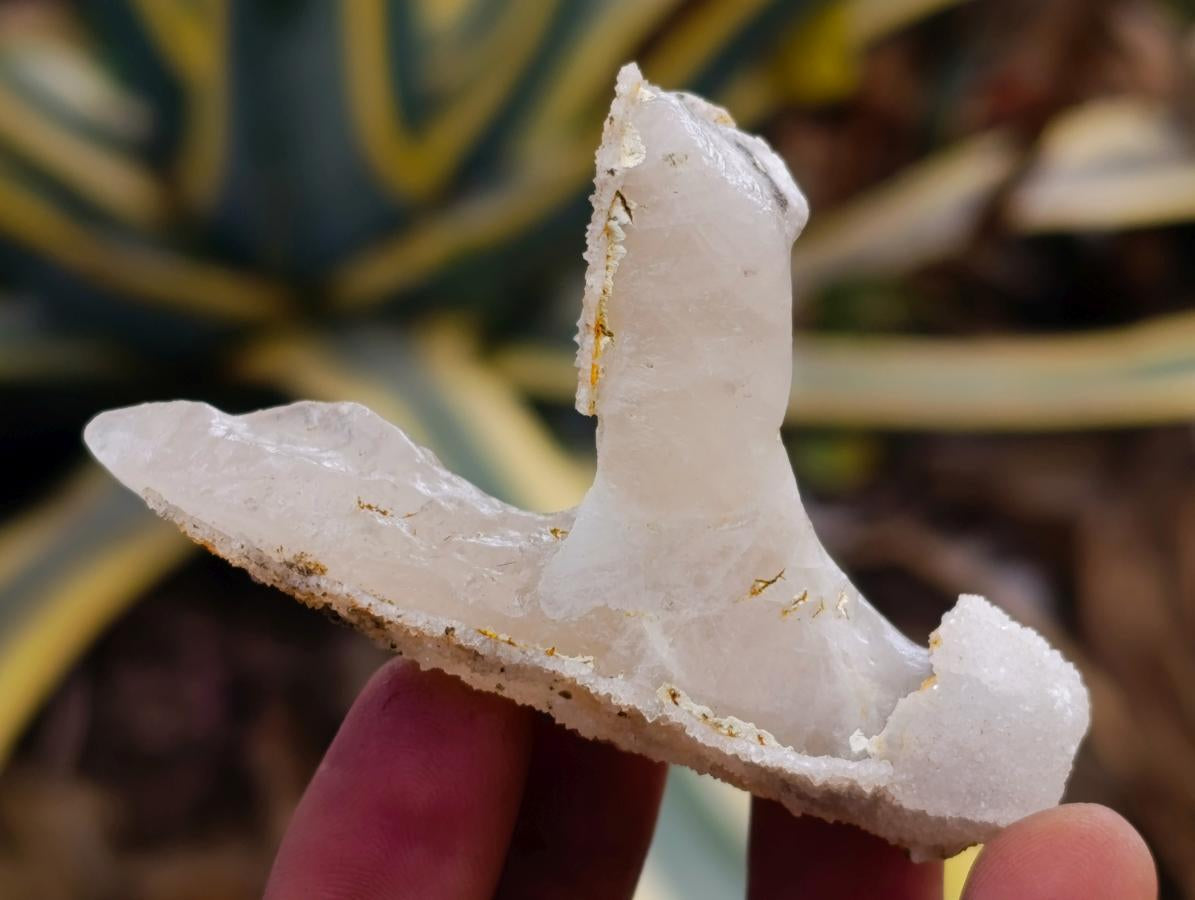 Natural Drusy Quartz Coated Spearhead Calcite Specimens x 35 From Albert's Mountain, Lesotho