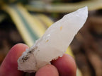 Natural Drusy Quartz Coated Spearhead Calcite Specimens x 35 From Albert's Mountain, Lesotho