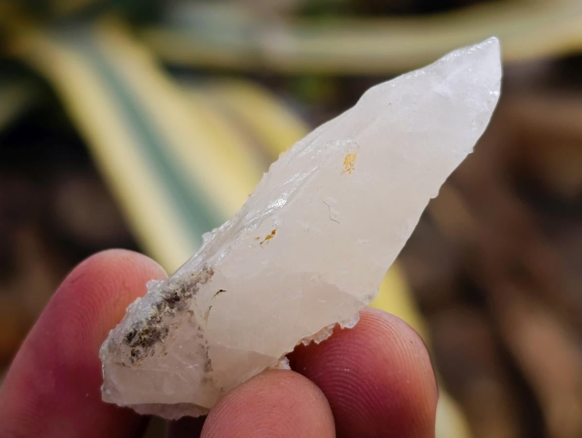 Natural Drusy Quartz Coated Spearhead Calcite Specimens x 35 From Albert's Mountain, Lesotho