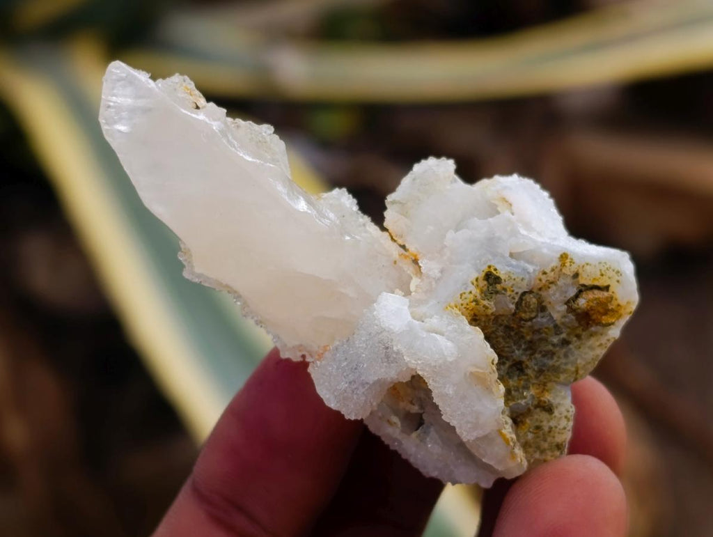 Natural Drusy Quartz Coated Spearhead Calcite Specimens x 35 From Albert's Mountain, Lesotho