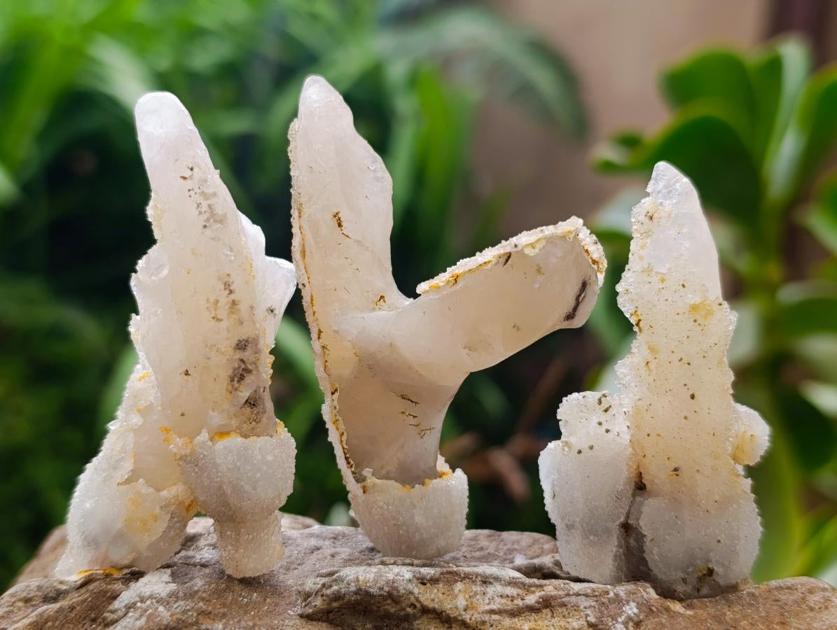 Natural Drusy Quartz Coated Spearhead Calcite Specimens x 35 From Albert's Mountain, Lesotho
