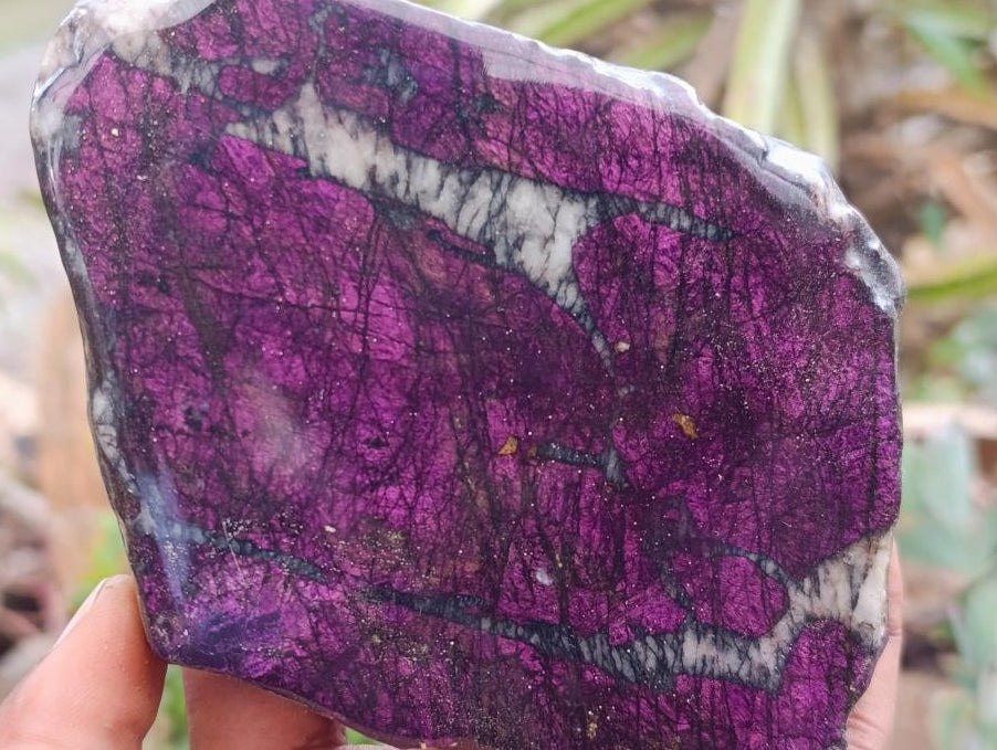 Polished On One Side Metallic Purpurite Specimens x 2 From Erongo, Namibia