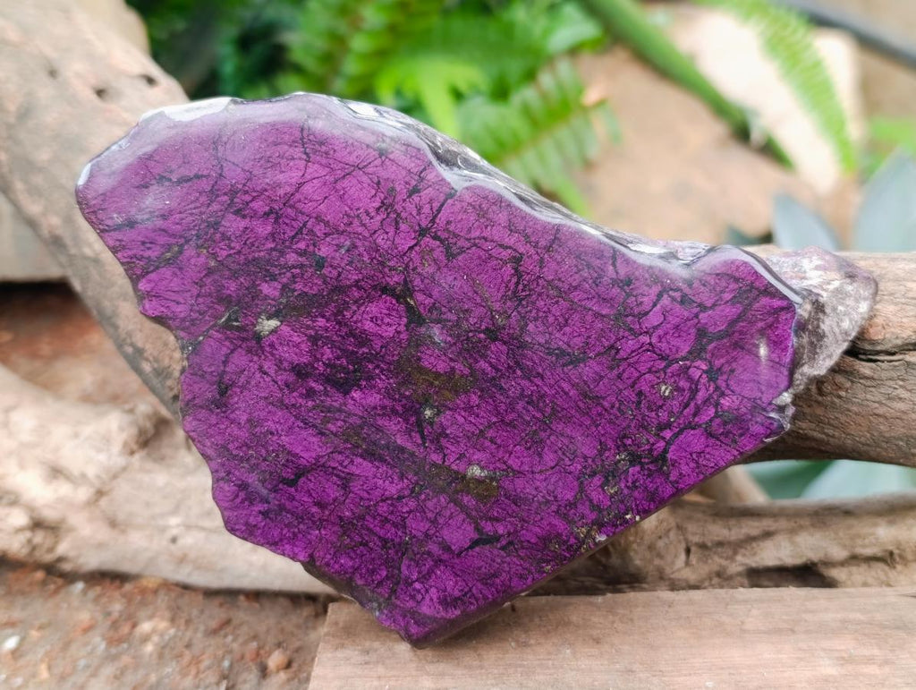 Polished On One Side Metallic Purpurite Specimens x 2 From Erongo, Namibia