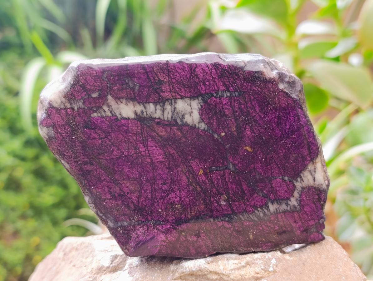 Polished On One Side Metallic Purpurite Specimens x 2 From Erongo, Namibia