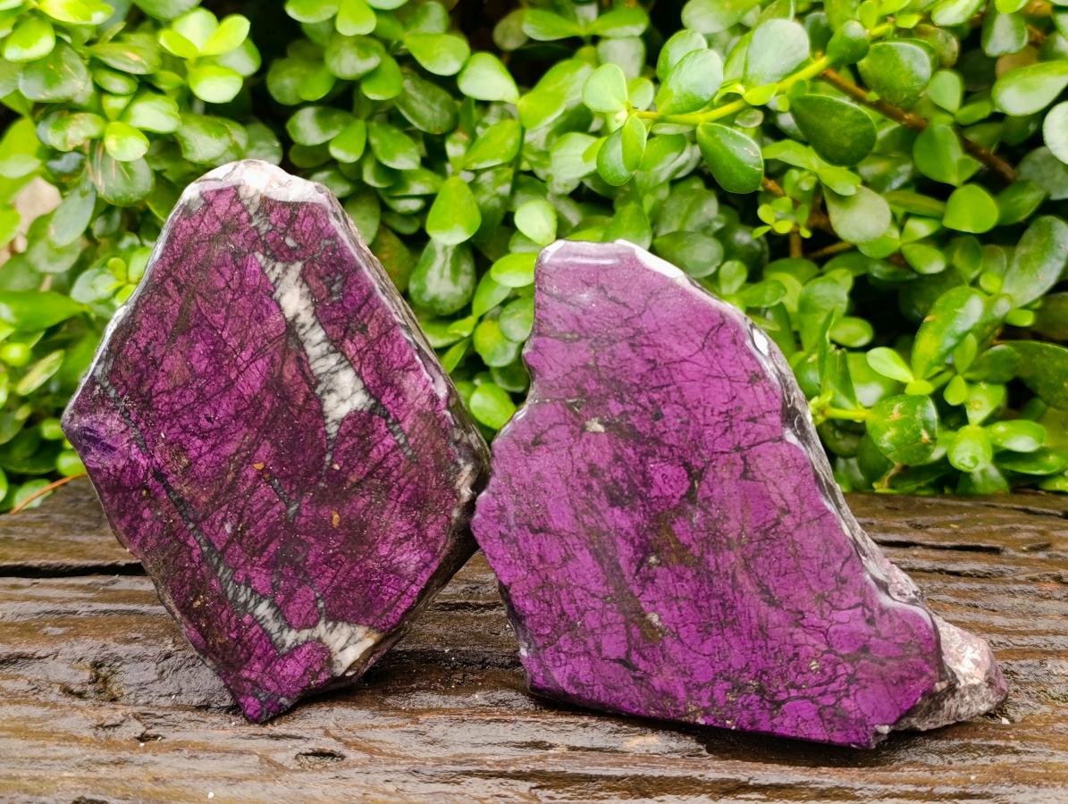 Polished On One Side Metallic Purpurite Specimens x 2 From Erongo, Namibia