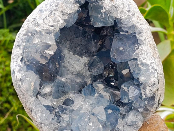Natural Large Blue Celestite Geode Specimen x 1 From Sakoany, Madagascar