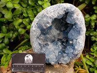 Natural Large Blue Celestite Geode Specimen x 1 From Sakoany, Madagascar