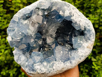 Natural Large Blue Celestite Geode Specimen x 1 From Sakoany, Madagascar
