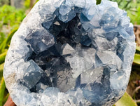 Natural Large Blue Celestite Geode Specimen x 1 From Sakoany, Madagascar