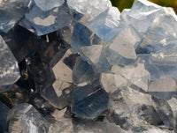 Natural Large Blue Celestite Geode Specimen x 1 From Sakoany, Madagascar