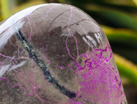 Polished Stichtite Standing Free Forms x 4 From Barberton, South Africa