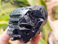 Natural Schorl Black Tourmaline x 7 From Ambatondrazaka, Madagascar