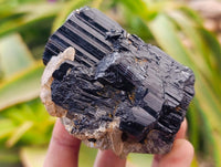 Natural Schorl Black Tourmaline x 7 From Ambatondrazaka, Madagascar