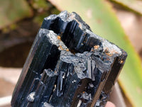 Natural Schorl Black Tourmaline x 7 From Ambatondrazaka, Madagascar