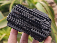Natural Schorl Black Tourmaline x 7 From Ambatondrazaka, Madagascar