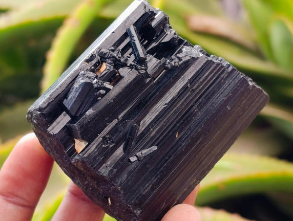 Natural Schorl Black Tourmaline x 7 From Ambatondrazaka, Madagascar