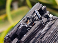 Natural Schorl Black Tourmaline x 7 From Ambatondrazaka, Madagascar