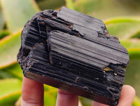 Natural Schorl Black Tourmaline x 7 From Ambatondrazaka, Madagascar