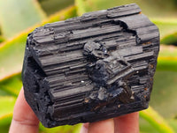Natural Schorl Black Tourmaline x 7 From Ambatondrazaka, Madagascar