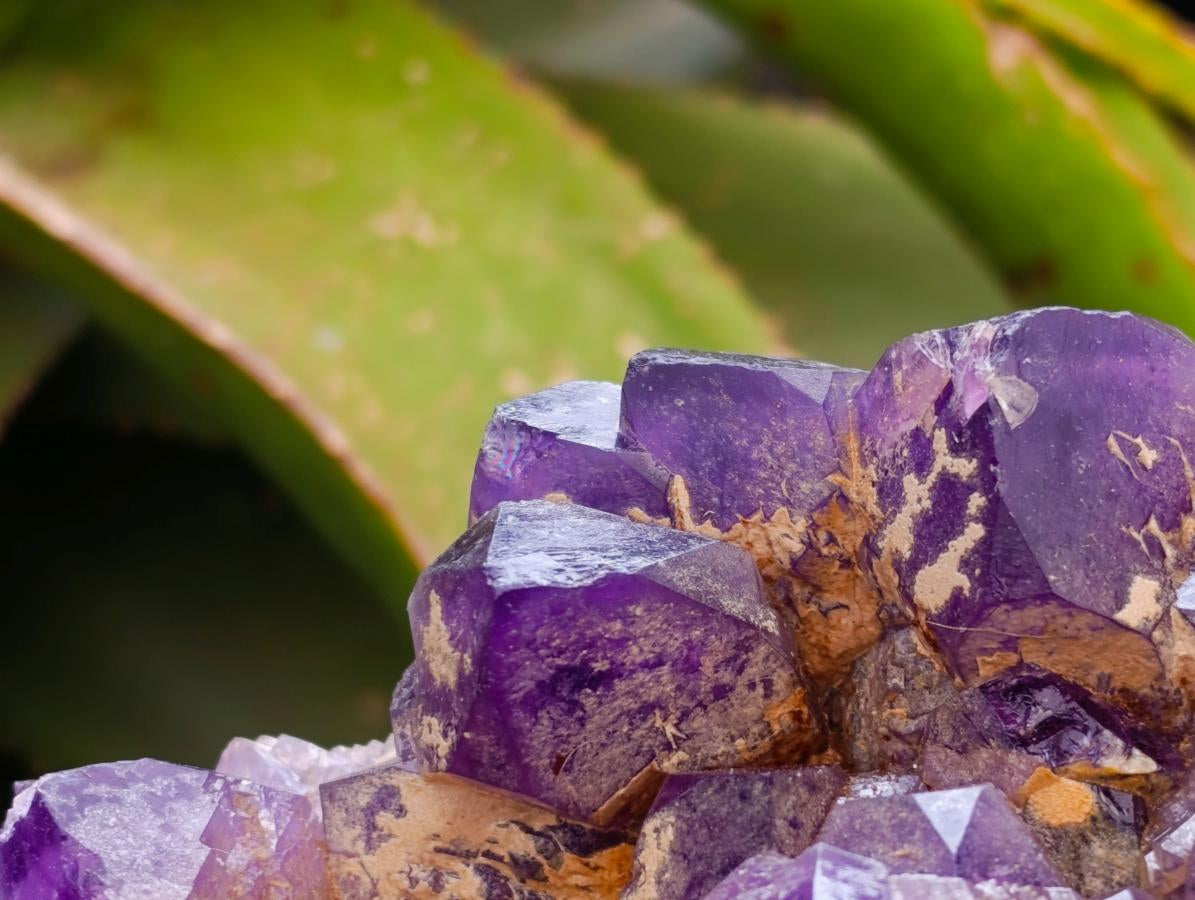Polished Dark Purple Chevron Amethyst Clusters x 2 From Mapatizya, Zambia