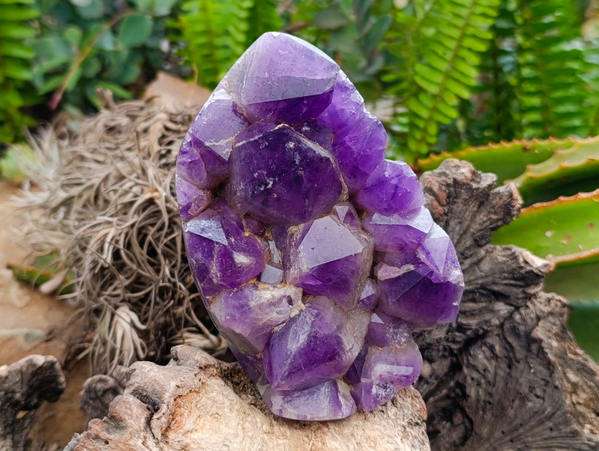Polished Dark Purple Chevron Amethyst Clusters x 2 From Mapatizya, Zambia