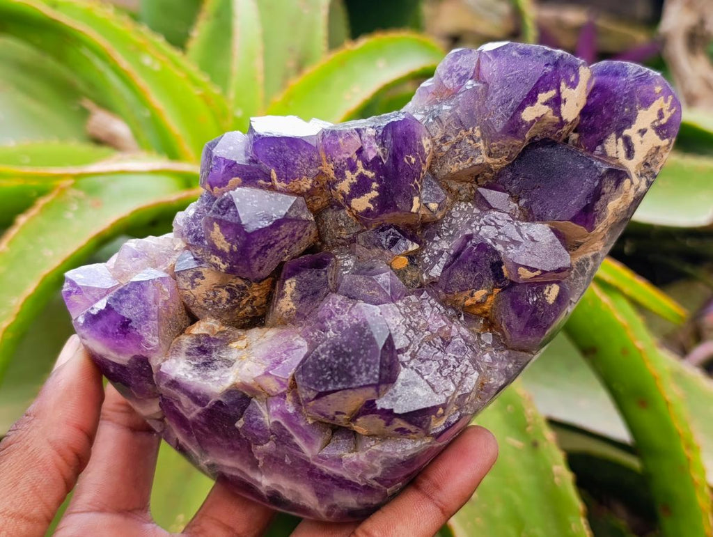 Polished Dark Purple Chevron Amethyst Clusters x 2 From Mapatizya, Zambia