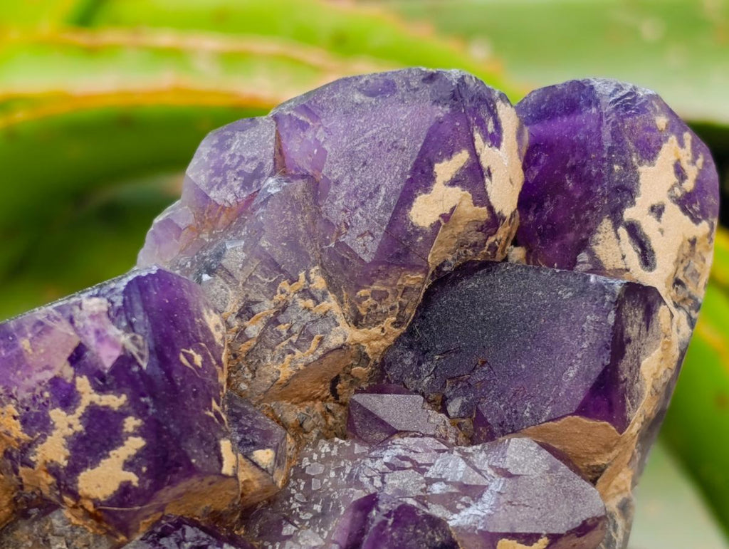 Polished Dark Purple Chevron Amethyst Clusters x 2 From Mapatizya, Zambia