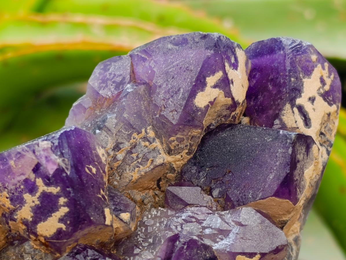 Polished Dark Purple Chevron Amethyst Clusters x 2 From Mapatizya, Zambia