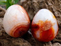Polished Carnelian Agate Gemstone Eggs x 12 From Madagascar