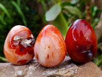 Polished Carnelian Agate Gemstone Eggs x 12 From Madagascar