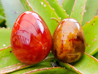 Polished Carnelian Agate Gemstone Eggs x 12 From Madagascar