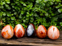 Polished Carnelian Agate Gemstone Eggs x 12 From Madagascar