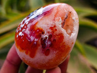 Polished Carnelian Agate Gemstone Eggs x 12 From Madagascar