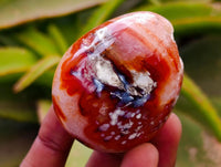 Polished Carnelian Agate Gemstone Eggs x 12 From Madagascar