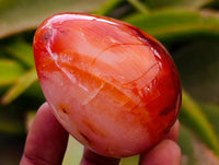 Polished Carnelian Agate Gemstone Eggs x 12 From Madagascar