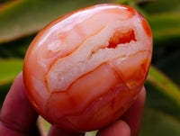 Polished Carnelian Agate Gemstone Eggs x 12 From Madagascar