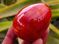 Polished Carnelian Agate Gemstone Eggs x 12 From Madagascar