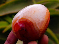 Polished Carnelian Agate Gemstone Eggs x 12 From Madagascar