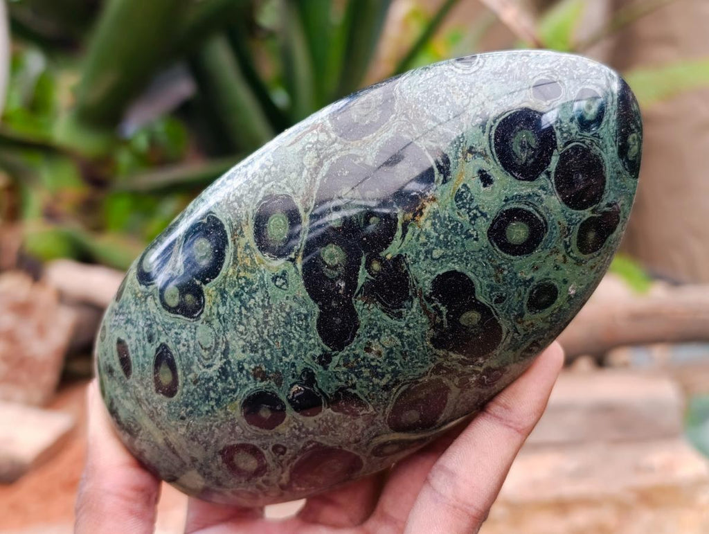Polished Stromatolite Standing Free Forms x 3 From Katsepy, Madagascar