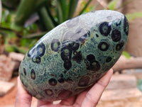 Polished Stromatolite Standing Free Forms x 3 From Katsepy, Madagascar