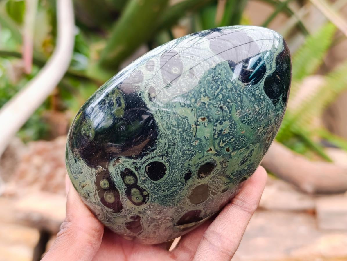 Polished Stromatolite Standing Free Forms x 3 From Katsepy, Madagascar