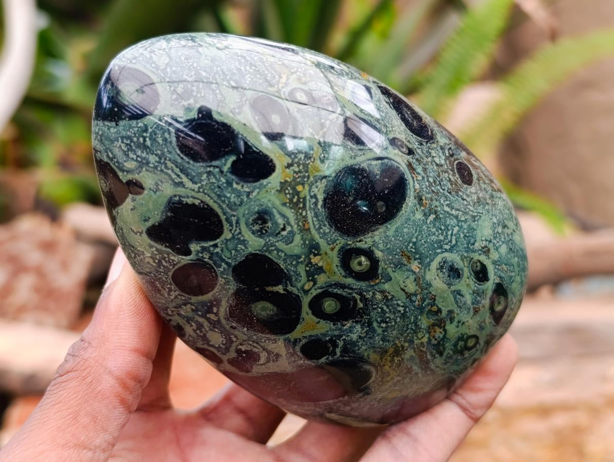 Polished Stromatolite Standing Free Forms x 3 From Katsepy, Madagascar