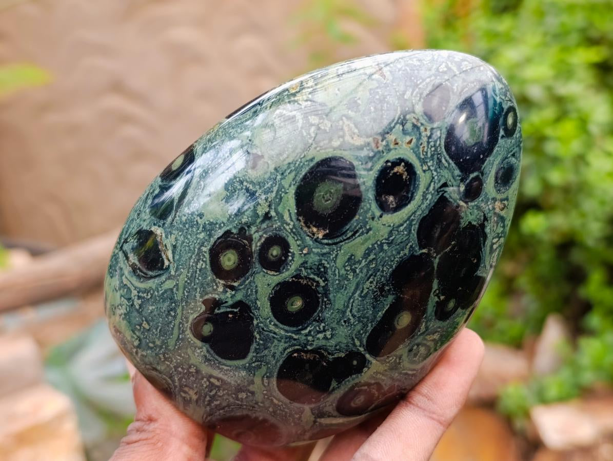 Polished Stromatolite Standing Free Forms x 3 From Katsepy, Madagascar