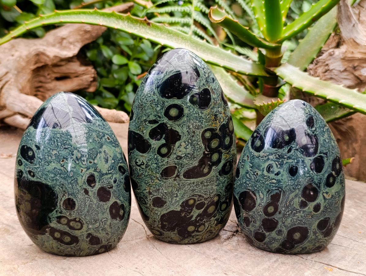 Polished Stromatolite Standing Free Forms x 3 From Katsepy, Madagascar