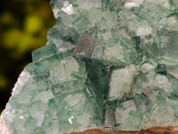 Natural Green Fluorite Cluster Specimens x 3 From Mandrosonoro, Madagascar