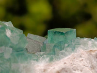 Natural Green Fluorite Cluster Specimens x 3 From Mandrosonoro, Madagascar