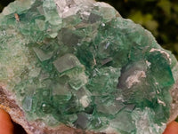 Natural Green Fluorite Cluster Specimens x 3 From Mandrosonoro, Madagascar