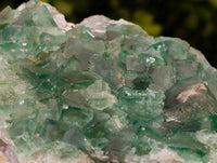 Natural Green Fluorite Cluster Specimens x 3 From Mandrosonoro, Madagascar