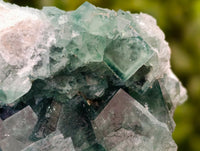 Natural Green Fluorite Cluster Specimens x 3 From Mandrosonoro, Madagascar